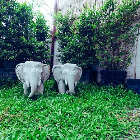 Adventure Siem Reap Lodge エクステリア 写真